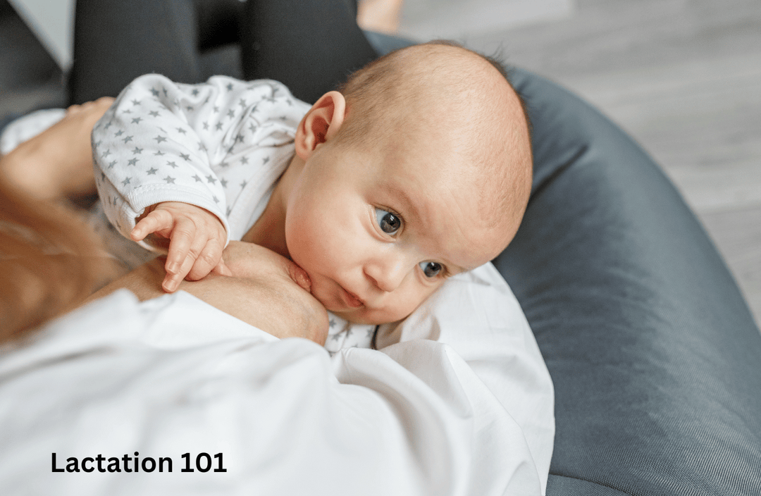 Lactation 101: Understanding and Supporting Your Milk Supply