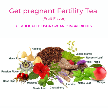 Get Pregnant Fertility Fruits Tea 