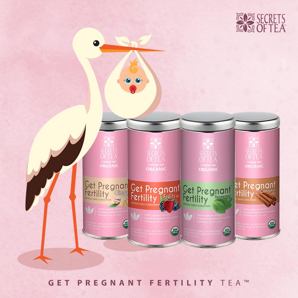 Get Pregnant Fertility Cinnamon Tea - USDA Organic- 40 Servings For cycle Regulation & Fertility Boost - Secrets Of Tea